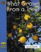 Go to record What grows from a tree?