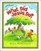 Go to record What did Jesus do?