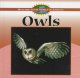 Go to record Owls