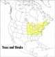 Go to record A field guide to trees and shrubs : northeastern and north...