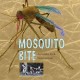 Go to record Mosquito bite