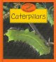 Go to record Caterpillars