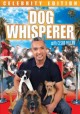 Go to record Dog whisperer celebrity edition