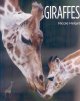 Go to record Giraffes