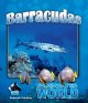 Go to record Barracuda