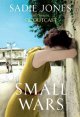 Go to record Small wars