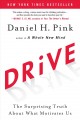 Go to record Drive : the surprising truth about what motivates us